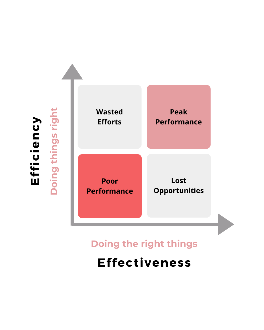 Effective Vs. Efficient?